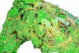 Forest Green Conichalcite on Chrysocolla - Namibia #285067-2